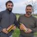 simon saffores et jérome bousquet